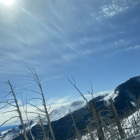 Meet your Posher, Ramiro - Picture 1 of 1